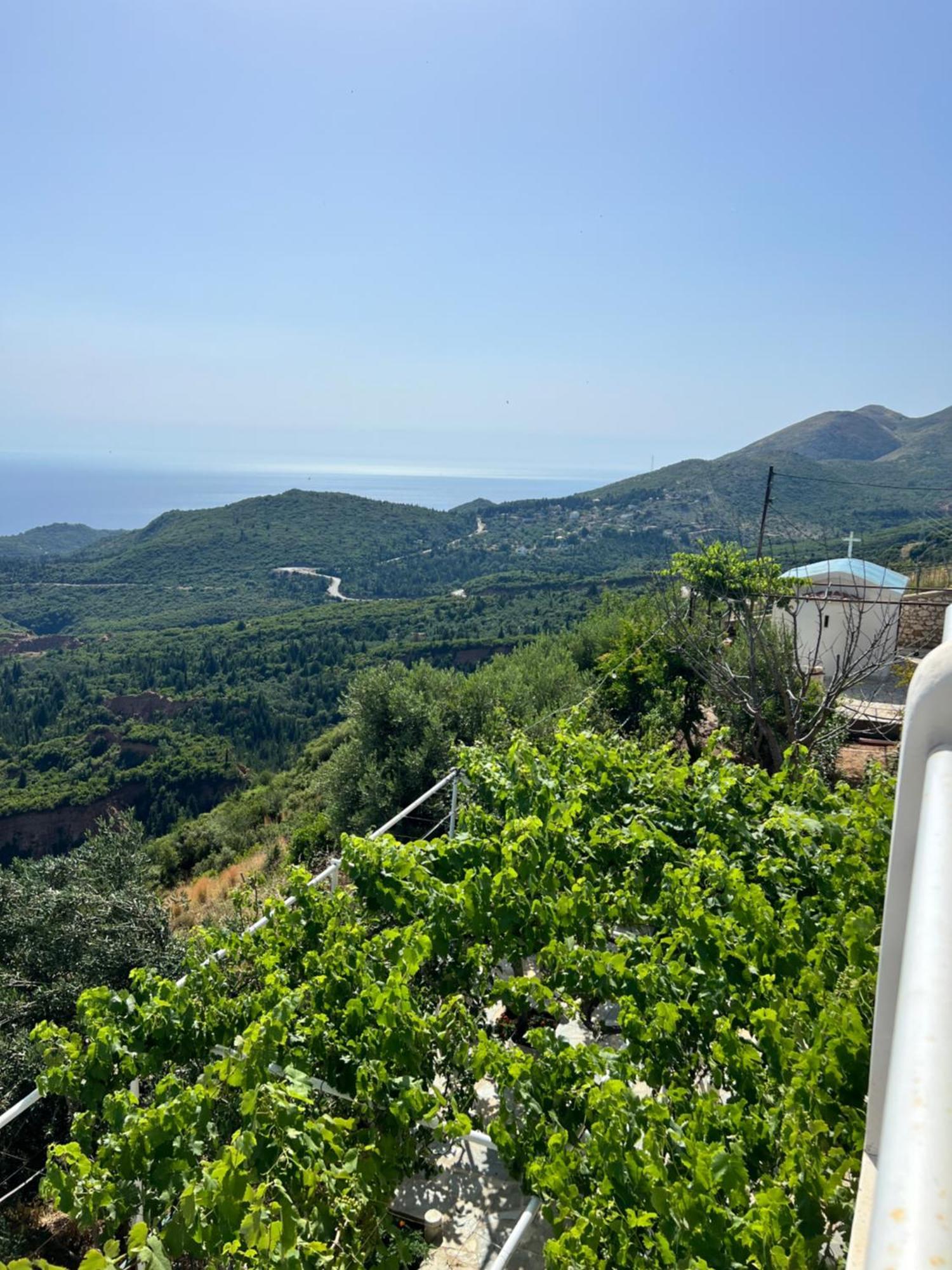 Villa Filip Vuno 外观 照片